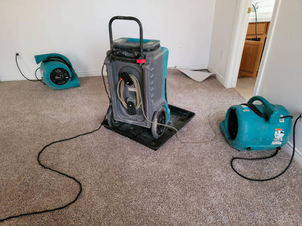 Best Water damage restoration near me  in Ramapo College Of New Jersey, NJ