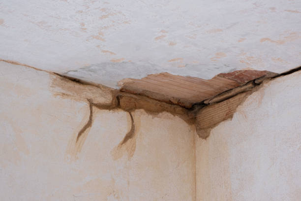 Best Water damage contractors near me  in Ramapo College Of New Jersey, NJ