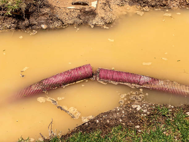 Water damage restoration insurance claims in Ramapo College Of New Jersey, NJ