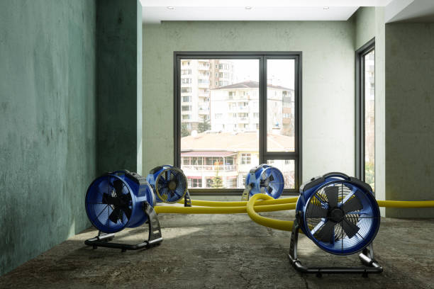 Best Professional water damage repair  in Ramapo College Of New Jersey, NJ