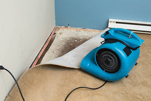 Best Professional water damage repair  in Ramapo College Of New Jersey, NJ
